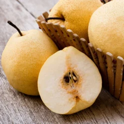 20th Century (Nijisseiki) Asian Pear Tree -Deals Blossom Vines Store 20thCentury Pear 1 BB