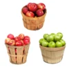 3 In 1 Apple Tree -Deals Blossom Vines Store 3 in 1 Apple 600x600 0e0ed339 9aed 4ad4 8bb3 3116ac09b8bc
