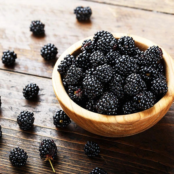 3-in-1 Blackberry Bush 3 3-in-1 Blackberry Bush