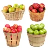 4-in-1 Apple Tree 1 4-in-1 Apple Tree -Deals Blossom Vines Store 4 in 1 Apple 600x600 cd0e54ea 6b44 4ccf b019 83298965fac6