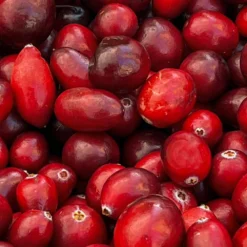 American Cranberry Bush 12 American Cranberry Bush -Deals Blossom Vines Store American Cranberry 4 BB