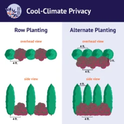 Cool-Climate Privacy Kit -Deals Blossom Vines Store BB Cool ClimatePrivacy