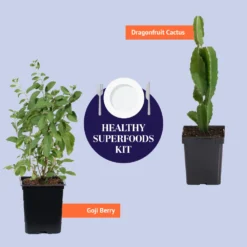 Healthy Superfoods Kit -Deals Blossom Vines Store BB HealthySuperfoodsKitGraphic
