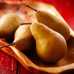 Bosc Pear Tree -Deals Blossom Vines Store Bosc pears 2 BB