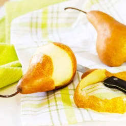 Bosc Pear Tree -Deals Blossom Vines Store Bosc pears 3 BB