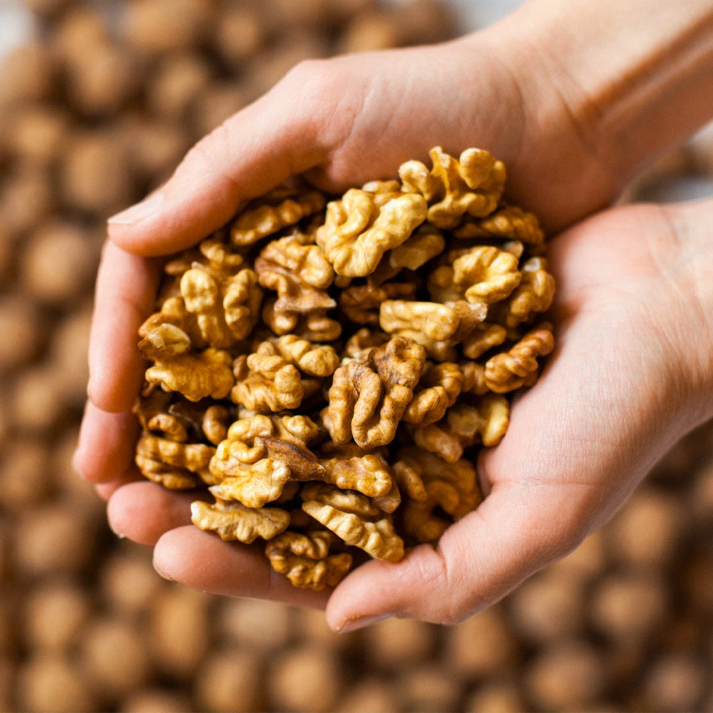 Chandler Walnut Tree 6 Chandler Walnut Tree - Image 4