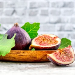 Chicago Hardy Fig Tree -Deals Blossom Vines Store Chicago Hardy Fig 4 BB