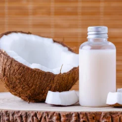 Coconut Palm Tree 13 Coconut Palm Tree -Deals Blossom Vines Store Coconut Palm 8 B