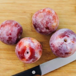 Dapple Dandy Pluot Tree -Deals Blossom Vines Store Dapple Dandy 2