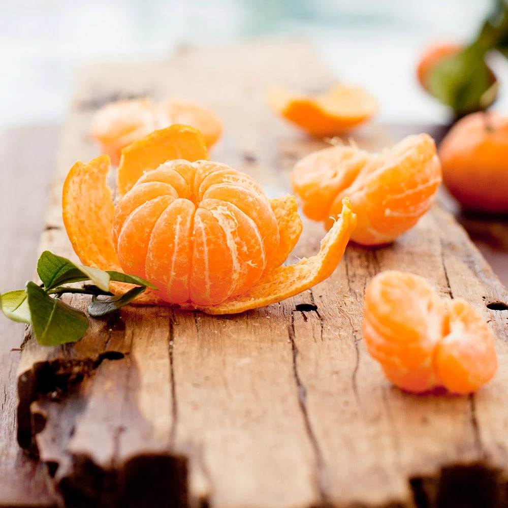 EasyPeel Clementine Tree 4 EasyPeel Clementine Tree - Image 2