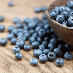 Emerald Blueberry Bush 7 Emerald Blueberry Bush -Deals Blossom Vines Store Emerald Blueberries 1