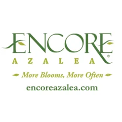 Autumn Fire® Encore® Azalea Shrub -Deals Blossom Vines Store Encore Logo 1000x1000 4f4a022a 3175 461c 9bdc 6865e700f1a1