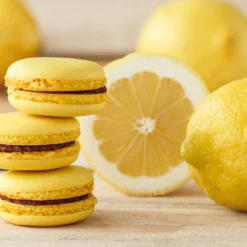 Eureka Lemon Tree 7 Eureka Lemon Tree -Deals Blossom Vines Store Eureka Lemon Tree 2 BB