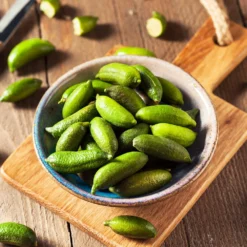 Australian Finger Lime Tree 11 Australian Finger Lime Tree -Deals Blossom Vines Store Finger Lime Tree 4