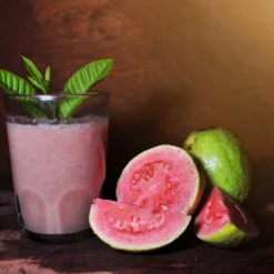 Guava Tree 'Ruby Supreme' -Deals Blossom Vines Store GUava tree 6 BB