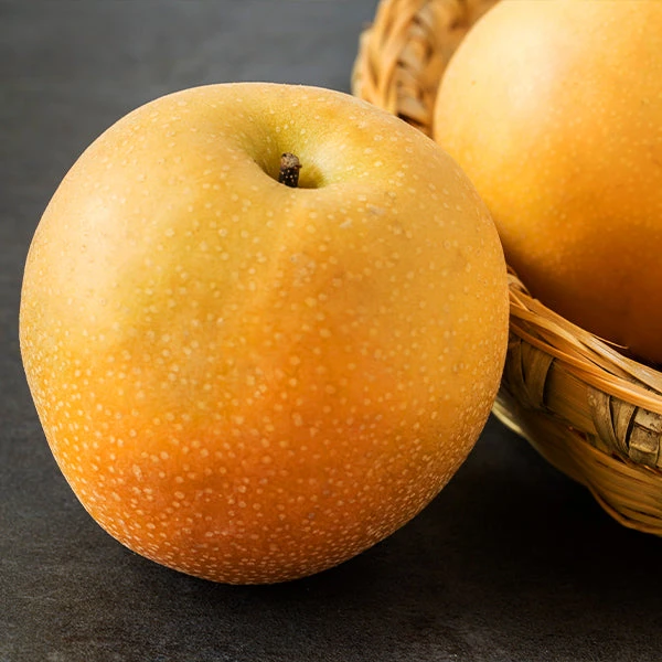 Hosui Asian Pear Tree 3 Hosui Asian Pear Tree