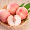 Indian Free White Peach Tree -Deals Blossom Vines Store Indian Free Peach BB 600x600 aab5f603 1c23 4340 b017 388d5fcd4c0d