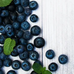 Jewel Blueberry Bush 7 Jewel Blueberry Bush -Deals Blossom Vines Store Jewel Blueberry 2