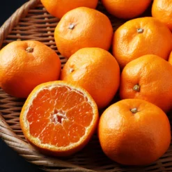 Kishu Mandarin Tree -Deals Blossom Vines Store Kishu Mandarin Tree 3 BB