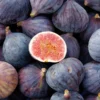 LSU Purple Fig Tree -Deals Blossom Vines Store LSU Fig BB 600x600 51f2ce34 d2aa 4f5d adc8 ab8d0d31ab49