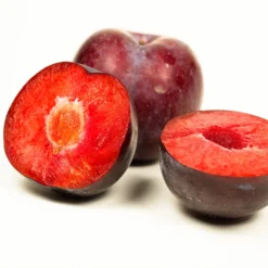 Methley Plum Tree -Deals Blossom Vines Store Methley Plum 3