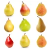 4-in-1 Pear Tree 2 4-in-1 Pear Tree -Deals Blossom Vines Store Multifruit Pear 600x600 07428fbd 0dfb 43e7 96cd 984488dbd6ff