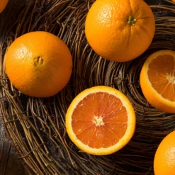 Navel Orange Tree -Deals Blossom Vines Store Navel Orange 3 BB 604a991f 7055 4201 9ddd 1e1e6b4d59fb