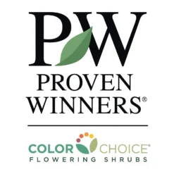 Karl Foerster Grass -Deals Blossom Vines Store PW Logo CC 1000x1000 c384b7d4 2da0 44a1 af14 38651b97f90a