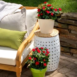 Petite Knock Out® Rose Shrub -Deals Blossom Vines Store Petite Red Knockout Rose BB