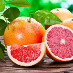 Ruby Red Grapefruit Tree -Deals Blossom Vines Store Ruby Red Grapefruit 2 BB