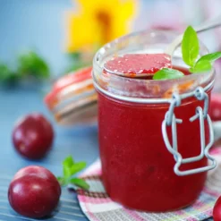 Santa Rosa Plum Tree -Deals Blossom Vines Store Santa Rosa Plum 4