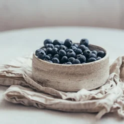 Sharpblue Blueberry Bush -Deals Blossom Vines Store Sharpblue Blueberry 1