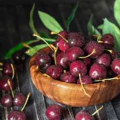 Skeena Cherry Tree 7 Skeena Cherry Tree -Deals Blossom Vines Store Skeena Cherry 3 BB