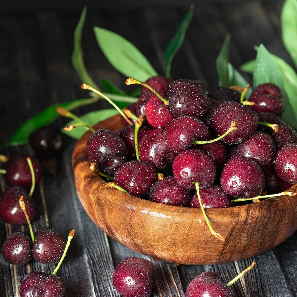 Skeena Cherry Tree 5 Skeena Cherry Tree - Image 3