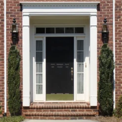 Sky Pencil Holly Tree -Deals Blossom Vines Store Sky Pencil Holly 3 BB