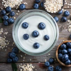 Spartan Blueberry Bush -Deals Blossom Vines Store Spartan Blueberry 6