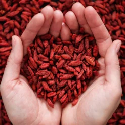 Healthy Superfoods Kit -Deals Blossom Vines Store Superfoods 3