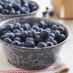 Sweetheart Blueberry Bush 10 Sweetheart Blueberry Bush -Deals Blossom Vines Store Sweetheart BLueberry 4