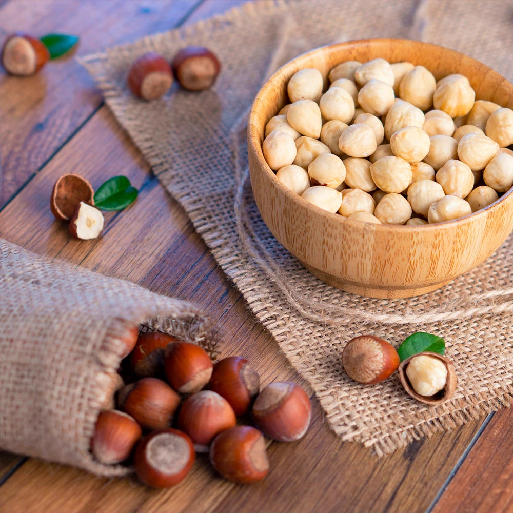 Theta Filbert Hazelnut Tree 5 Theta Filbert Hazelnut Tree - Image 3