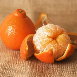 Minneola Tangelo Tree -Deals Blossom Vines Store Tangelo 4 BB