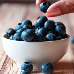 Top Hat Blueberry Bush 10 Top Hat Blueberry Bush -Deals Blossom Vines Store TopHat BLueberry 5 BB