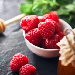 Willamette Red Raspberry Bush -Deals Blossom Vines Store Wiliamette Raspberry 1