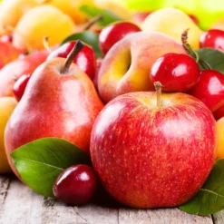 Orchard Kit -Deals Blossom Vines Store orchard kit 310024f8 9b56 436e 9e62 84dab023b0cb