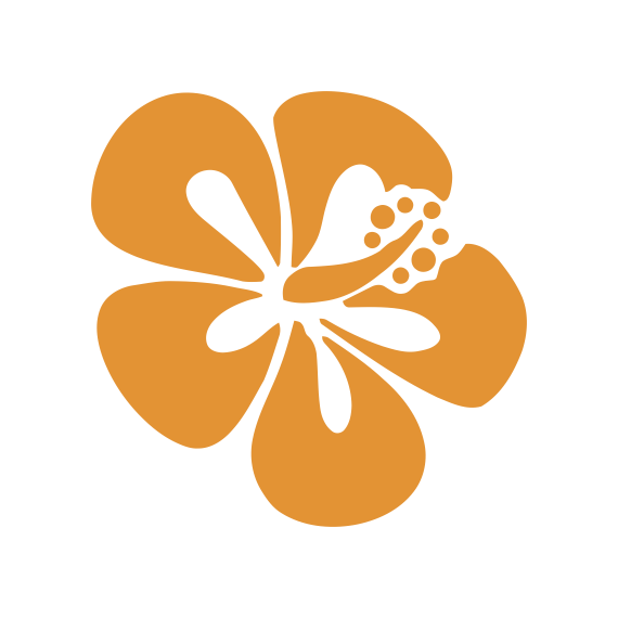 Deals Blossom Vines Store